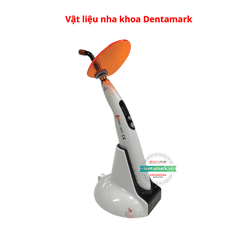 Đèn trám quang trùng hợp LED B Woodpecker (Bộ)