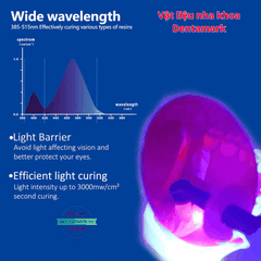 Đèn Trám Quang Trùng Hợp Coxo DB686 HALO