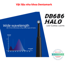 Đèn Trám Quang Trùng Hợp Coxo DB686 HALO