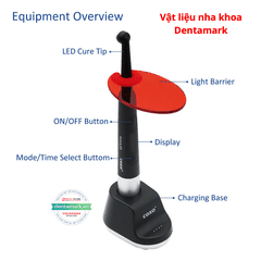 Đèn Trám Quang Trùng Hợp Coxo DB686 HALO
