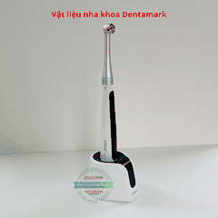 Đèn Trám Quang Trùng Hợp Coxo DB686 Q1