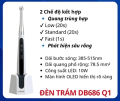 Đèn Trám Quang Trùng Hợp Coxo DB686 Q1