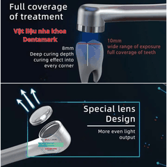 Đèn Trám Quang Trùng Hợp Coxo DB686 SWIFT