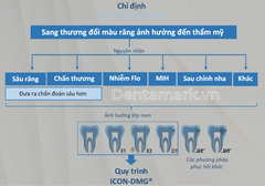 Tẩy đốm trắng Icon DMG – Bộ Kit loại bỏ đốm trắng bằng Icon Smooth Surface