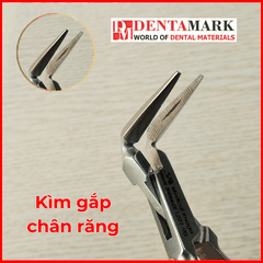 Kìm gắp chân răng 45 độ/90 độ SA