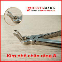 Kìm nhổ chân răng 8