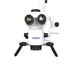 Kính hiển vi nha khoa Coxo C-CLEAR-1