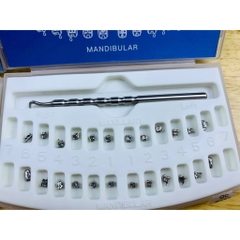 Mắc cài kim loại tự khóa Cô gái (tự buộc) (MUA 10 TẶNG 1)