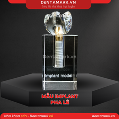 Mô hình Implant pha lê