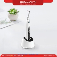 Máy điều trị nội nha tích hợp định vị chóp Wisedent BR 208