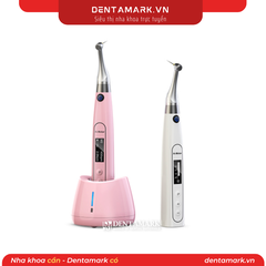 Máy nội nha tích hợp định vị chóp AI ENDO MOTOR Woodpecker (Cái)