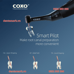 Máy nội nha tích hợp định vị chóp COXO C-SMART MINI AP+