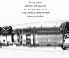 Máy Nội Nha Woodpecker Ai-Motor Tích Hợp Định Vị Chóp