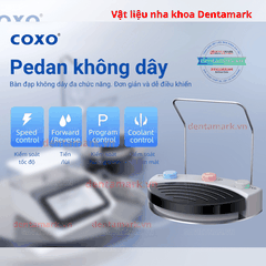 Máy phẫu thuật motor điện COXO C-Puma Pro