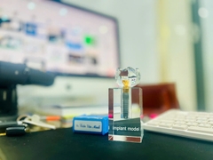 Mô hình Implant pha lê