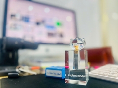 Mô hình Implant pha lê