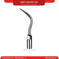 Mũi phá tam giác ngà P4D