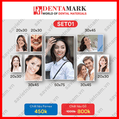 Set tranh nha khoa NỤ CƯỜI ĐẸP