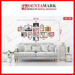 Set tranh trang trí nha khoa - Chất liệu formex