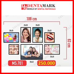 Set tranh trang trí nha khoa - Chất liệu formex