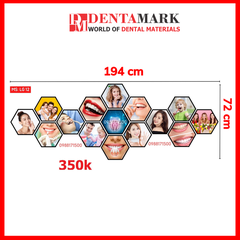 Set tranh trang trí nha khoa - Chất liệu formex