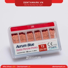 Côn Gutta Percha Aurum Blue Meta Biomed - Hộp 60 Cây