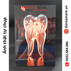 Tranh nha khoa để bàn gỗ tráng gương 20x30