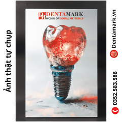 Tranh nha khoa để bàn gỗ tráng gương 20x30