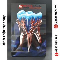 Tranh nha khoa để bàn gỗ tráng gương 20x30