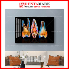 Tranh nha khoa hình răng trang trí phòng khám