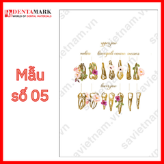 Tranh nha khoa nghệ thuật đẹp hình răng