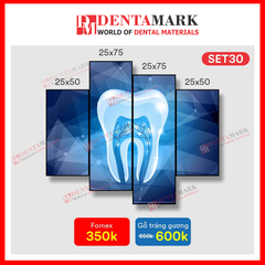 Tranh nha khoa nghệ thuật