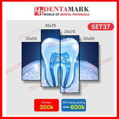 Tranh nha khoa nghệ thuật