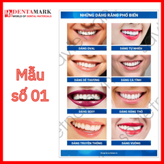 Tranh tư vấn dịch vụ nha khoa: Dáng răng, Atlas giải phẫu hàm răng, Phục hình răng, Viêm nướu và bệnh nha chu, Răng sữa, Nha khoa trẻ em
