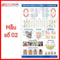 Tranh tư vấn dịch vụ nha khoa, giải phẫu răng, răng sứ thẩm mỹ, implant nha khoa, nắn chỉnh răng, nha khoa trẻ em