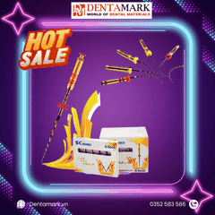 Coxo - File máy nội nha SC-Pro (MUA 10 TẶNG 1)