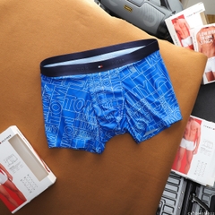 Quần lót boxer TM 31022
