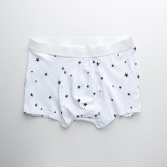 Quần lót boxer BTM 3365