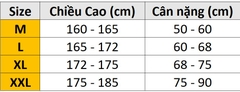 Quần lót tam giác NK Pro TG1