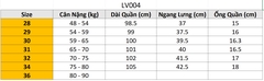 Quần Jeans dài LV LV004