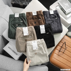 Quần Short nhung BTM 4572
