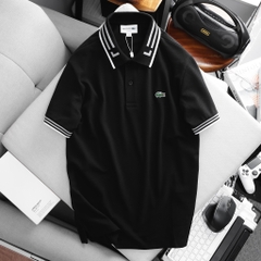 Áo polo LC viền cổ PL19