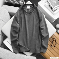 Áo sweater nỉ pique BTM 6541