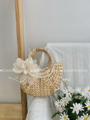 Lục bình BN mini bông hoa