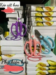 kéo