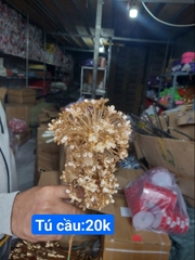 tú cầu