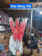 đào đông dài
