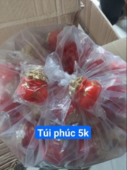 túi phúc
