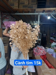 cành tim