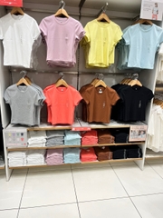 Phông croptop uni 455762